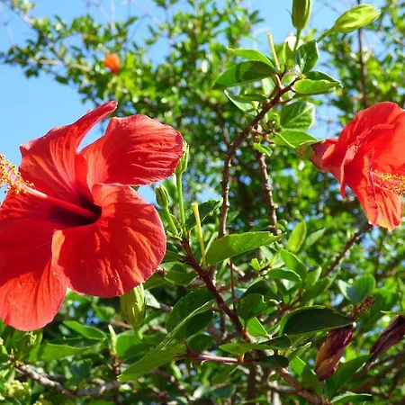 Bed & Breakfast Baia Turchese 3*